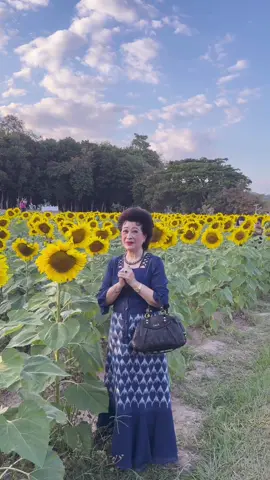 #เทรนด์วันนี้ ดอกทานตะวันบานแล้วค่ะที่ศูนย์ ศึกษาการพัฒนาภูพานอันเนื่อง มาจากพระราชดำริ จ.สกลนคร ที่ธรรมชาติสวยงามมาก ขอเชิญกัลยาณมิตรทุกท่าน มาเที่ยวชมและถ่ายรูปนะคะที่ บ้านนาคำ+นานกเค้า จ.สกลนคร วันอาทิตย์ที่7/12/2568-2025ค่ะ ♥️♥️♥️♥️♥️♥️♥️♥️♥️🏆#เทรนด์มาแรงในtiktokวันนี้💜 #เทรนด์อันดับ1วันนี้🥰🥰🥰 #เทรนด์อันดับ1วันนี้ #เทรนด์มาแรงในtiktokวันนี้ 