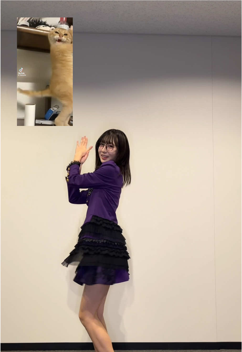 猫ダンス🐈 #catdance #林仁愛  (はやしにいな) #juicejuice 