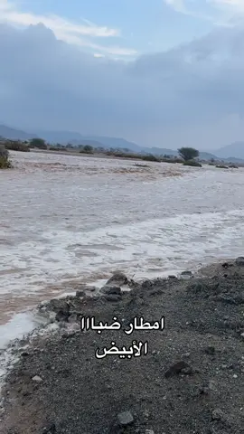 #ضباااا نيوم#