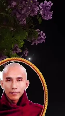 #creatorsearchinsights  #စိတ်ငြိမ်းအေးချင်တယ်ဆိုရင် #သစ္စာရွှေစည်တရာတော် #foryou #followers 