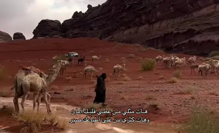 #اكسبلورexplore #الشعب_الصيني_ماله_حل😂😂 #شعر #قصايد #fypシ゚ 