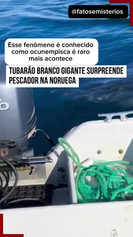 Conheça o fenômeno ocunempisca 