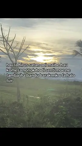 Ketua sad:🤡🥀#tiktokfypシ sunsetZumalai🐊🌅