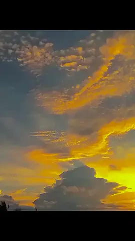 lagu timur.malu malu🫠#lagutimur #sunsetvibes #sunset #storytimur #fyp? 