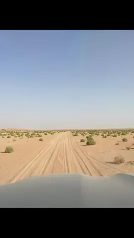 تومي بنا الاقدار ونصول ونجول  ماجات به دورات لايام راحي  حتى لو ان مستقبل العمر مجهول  عزومنا اسطى من خشوم الرماحي  #مقناص #viral #حبارى #explor 