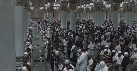 إبداع وخشوع! #عبدالله_القرافي #قران_كريم #قران #صلي_على_النبي #اكتب_شي_توجر_عليه 