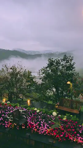 Cafe ngắm sương mây mỗi sáng cùng ad không ạ.. #dalat #reviewdalat #tiemcaphethenhthang #thenhthangcoffee #binhyen 