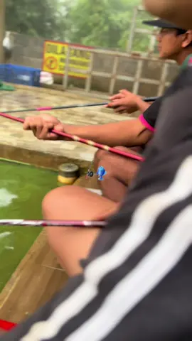 Sttecuu #menyambuttahunbaru #rilisanlelejawatimur #fypシ゚viral 