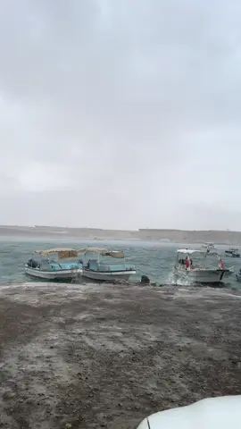 #اكسبلورexplore #مالي_خلق_احط_هاشتاقات #الوجه 