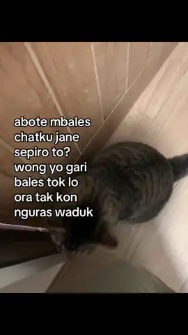 #foryoupage #sadstory                         #jawastory #trend #katakata 