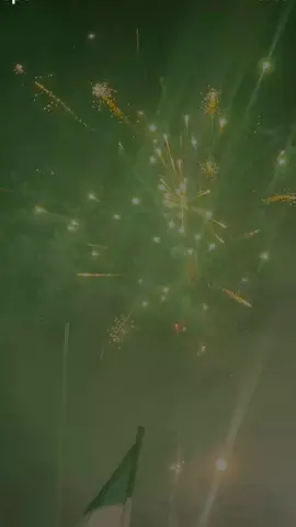 #اليله_عيدك_ياوطن#تصميم_فيديوهات🎶🎤🎬 #مجرد________ذووووووق🎶🎵💞 #سوريا_تركيا_العراق_السعودية_الكويت #ادلب 