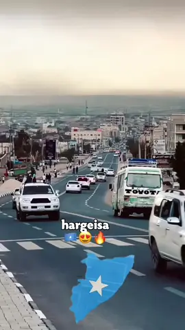 somali halisla dono🔥🌊😂  badaas dad ba ka xanaqaayo 🌊🌊#somalia🇸🇴 #xarardheere💙🤍💚 #banadir_somalia🇭🇹🇸🇴 #cabdi_aziizow🤴🏾🔥 #ceyroww💀🔥 