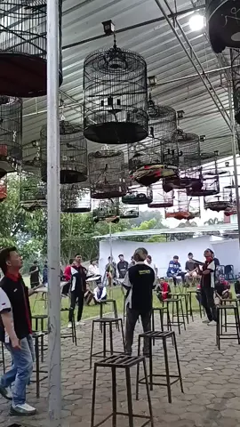 gantang diiringi Live Musik Dangdutan... #latber #latpresmuraibatu #latpres #muraibatuindonesia #muraibatu @ABABIL ARENA @Hancur_Mina @Arif Popeye @Adhitya Kicau @bandar_zakat_sf @rifkyagung12 @Biting Arix 