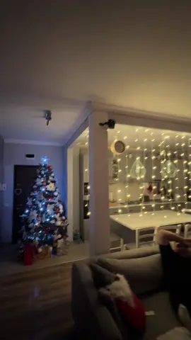 Daily Craciunistic 🎄 #fyp #ornamentecraciun🌲 #braddecraciun🌲🌲🌲 #luminite🎄🎆 