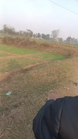 #foryou #lovecricket #1millionaudition #growyaccount #1mview 