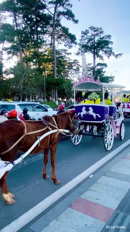 Festival trà quốc tế Đà Lạt 2025#xuhuong #thinhhanh #dalat 