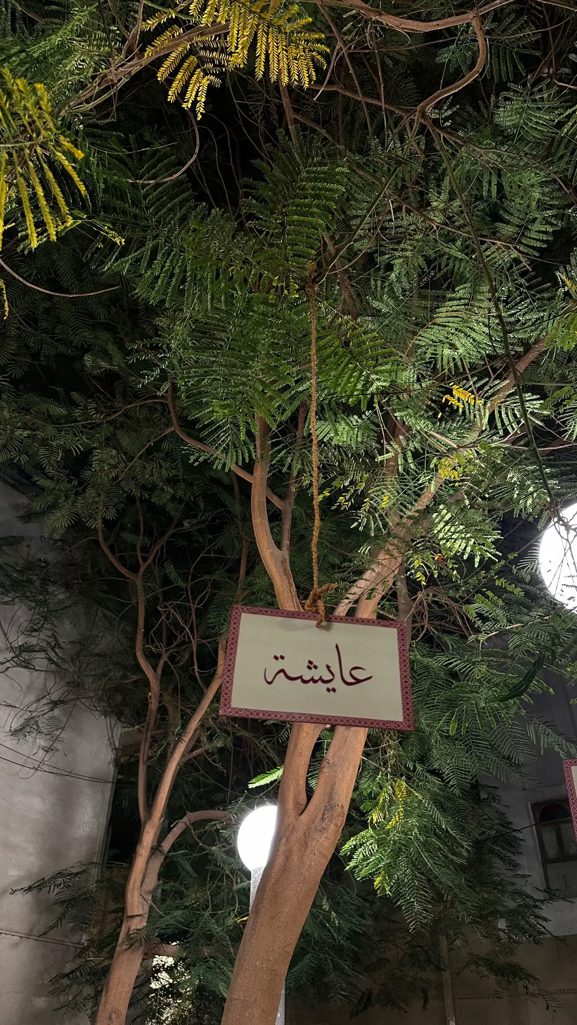 #ليالي #عائشة #المحرق #ديسمبر #عبدالمجيد_عبدالله 