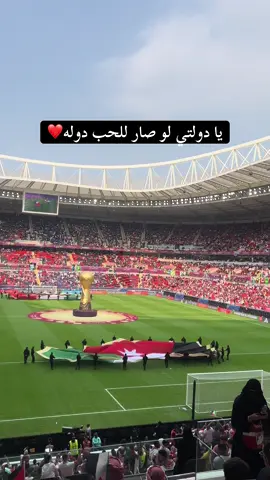 يا دولتي لو صار للحب دولة ❤️🇯🇴🇯🇴#fyppppppppppppppppppppppp #الشعب_الصيني_ماله_حل😂 #jordan #amman 