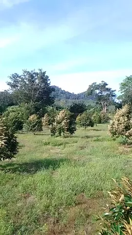 เดือดจัด