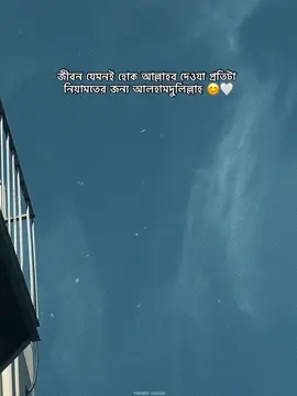 জীবন যেমনই হোক আল্লাহর দেওয়া প্রতিটা নিয়ামতের জন্য আলহামদুলিল্লাহ 😊🤍 