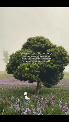 #masukberandafypシ #quotesaesthetic #quotestory #sedstory 