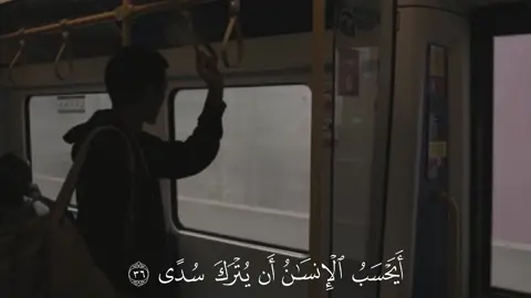 ﴿ أَيَحْسَبُ الْإِنسَانُ أَن يُتْرَكَ سُدًى﴾  سورة القيامة 🤍 ———————————- #عبدالعزيز_الفقيه #ايحسب_الانسان_أن_يترك_سدى #قران_كريم #quran_alkarim #قرآن 