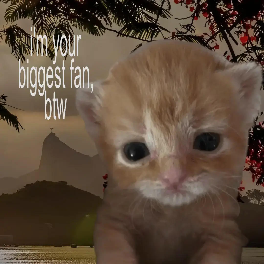 #relatable #relatablecontent #lovecore #streak 