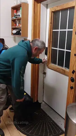 Cat really hates the cold🐱🥶😂 #cat #catsoftiktok #catlover #funny #funnyvideos #foryou #fypage #fypツ #funnycat #funnytiktok #cats 