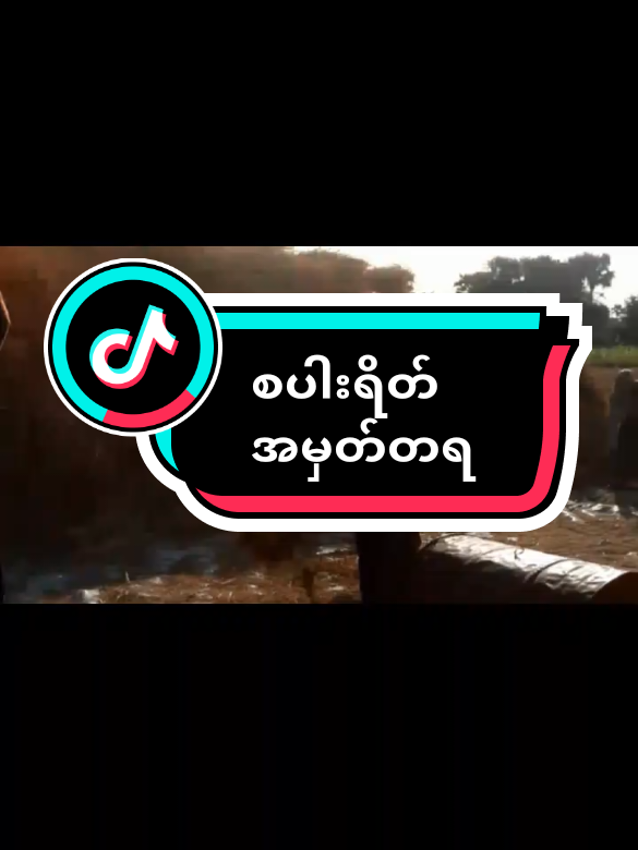 #တောသားကိုမှယူချင်အုံး#ဘာညာပေါ့ကွာ♡ #ရောက်စမ်းfypပေါ် #100kviews #ကြည့်ပေးကြပါအုန်း❤💘❤ @TikTok 