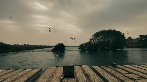 جمال حديثه ويا المطر والطيور #حديثه_عذراء_الانبار🔥 #تصويري_احترافي_الاجواء👌🏻🕊😴 #تصويري_احترافي_الاجواء👌🏻🕊😴 #الشعب_الصيني_ماله_حل😂😂 