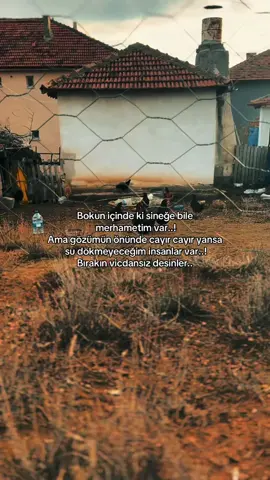 merhamet her insana misafir olmaz #kefsettetizcapcut 