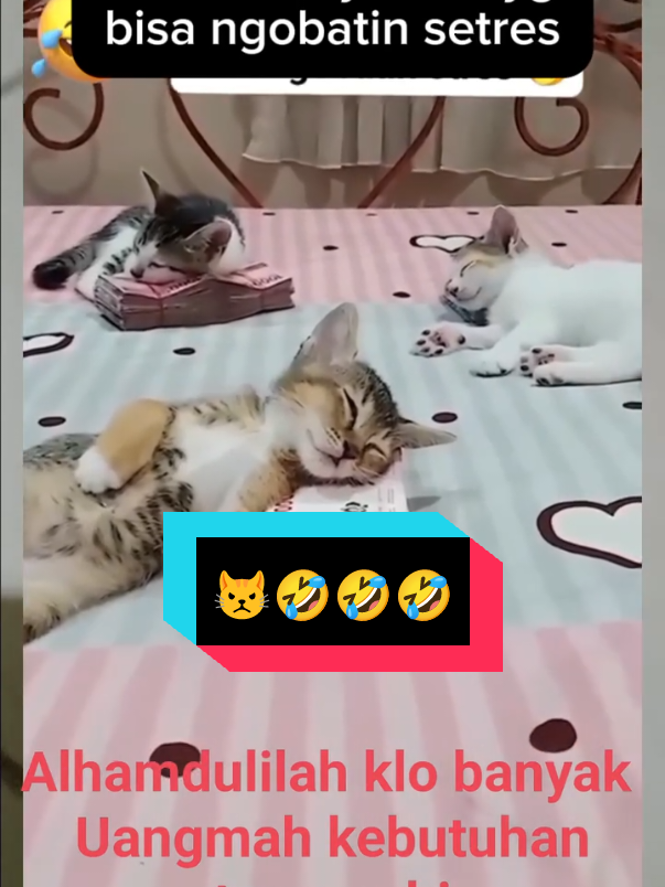 #😾😾🤣🤣🤣 