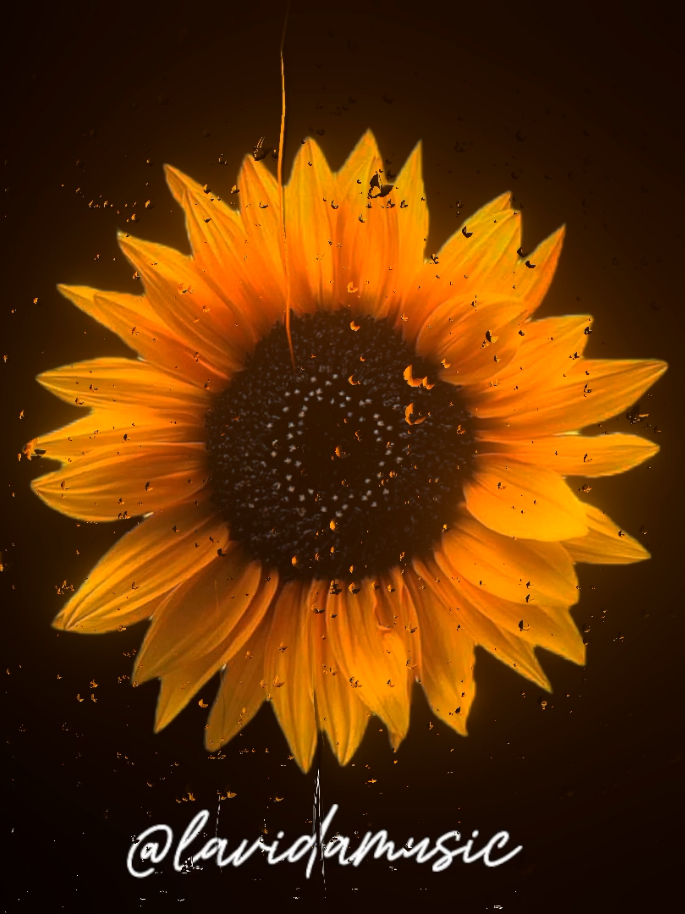 Say Yes to Heaven #lyrics #song #music 