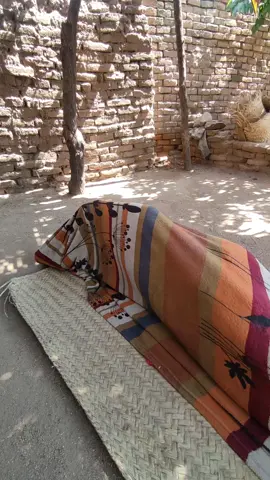 #شعب_الصيني_ماله_حل😂😂 #ربنايصلح_حال_البلد💔🇸🇩 #جنقو_مسامير_الأرض🇸🇩🇸🇸🇫🇷🇪🇸🇹🇳🇱🇾🇮🇹🇳🇱🔥🔥🔥🔥🔥🔥🔥 #CapCut 