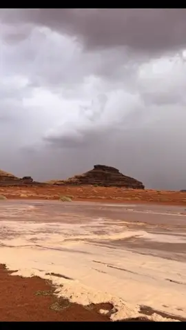 #امطار#تبوك ١٤٤٧/٦/١٥هـ