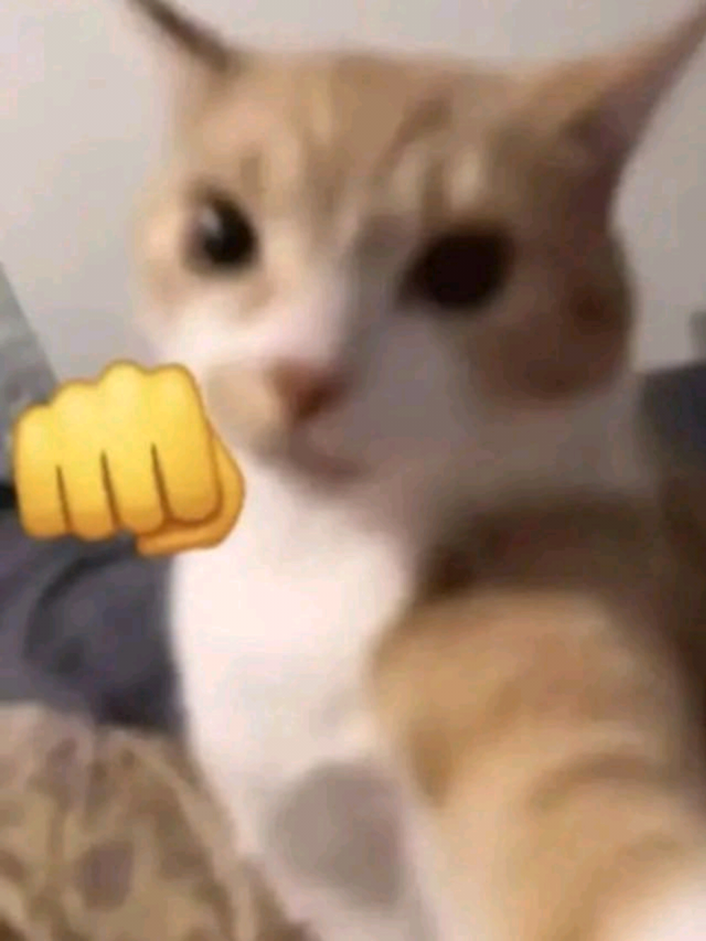 cái j cũng có ng xú ng đẹp cả #viralvideo #maucapcut #Quỳnh  #ghệđẹp #emiuxinhgai 