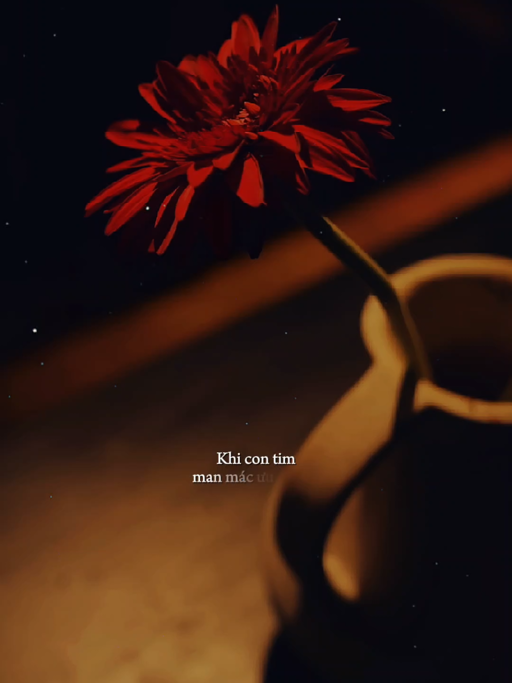 Tôi hỏi rằng đời có gì vui..? Khi con tim mang mát ưu phiền... [ Mỗi Ngày Đáng Sống ] #moingaydangsong #nhacbuontamtrang #tramcamxuc💔 #maucapcut #phonhac 