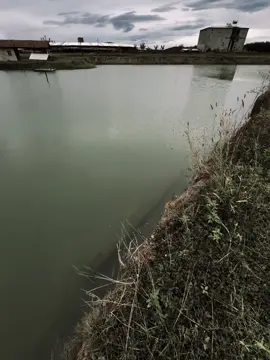 隻小手遮不住所有的陽光，一小步遮不住每個人的心。 