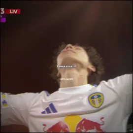 BEST FANS IN ENGLAND 💛💙//NO COPYRIGHT INTENDED #leedsunited #liverpoolfc #aotanaka #fyp #viral 