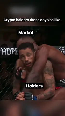 December vibes in crypto 🥊 #trading