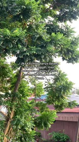 #quotestory #4u #bismillahfyp #fypage 