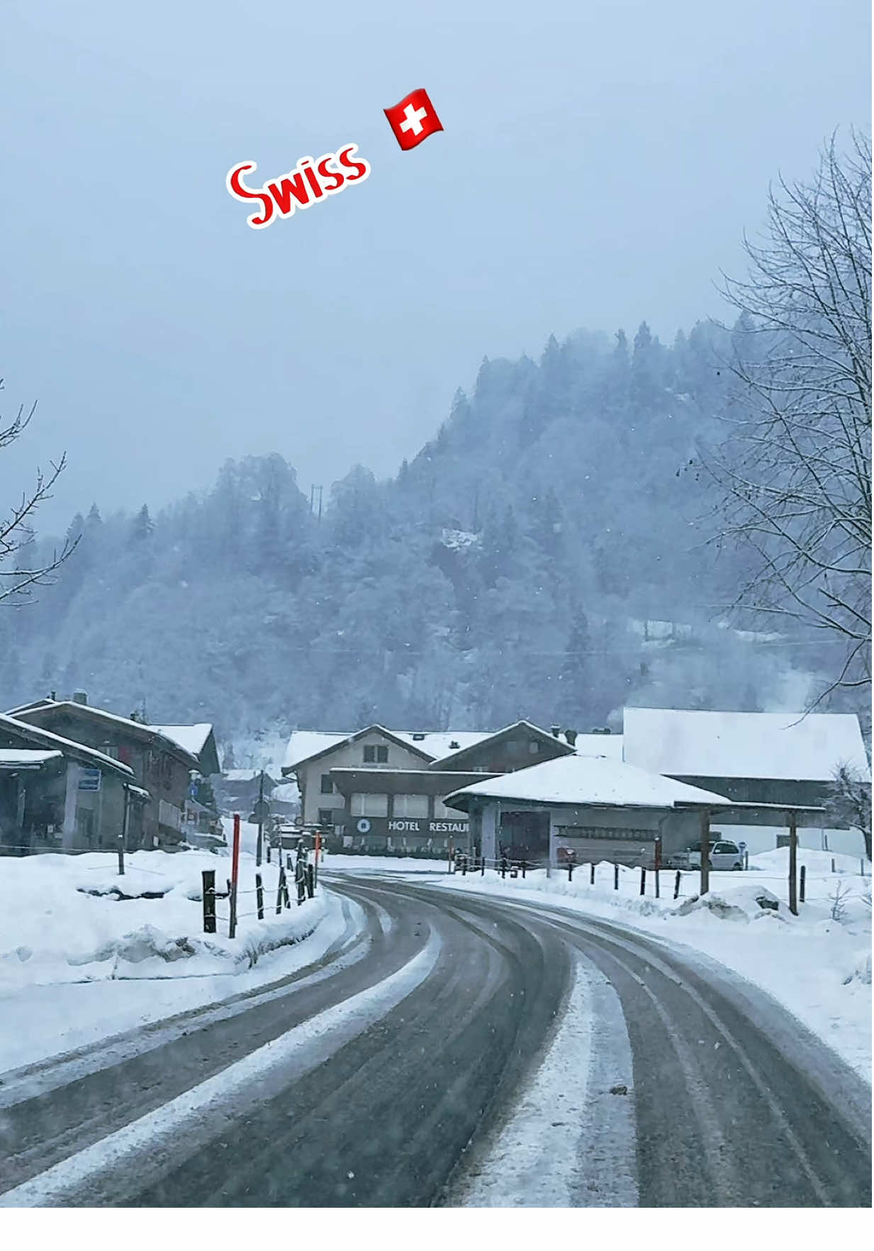 Visit Switzerland 🇨🇭#beatiful #lovenature🌿 #swissbeautiful #foryou #fürdich 