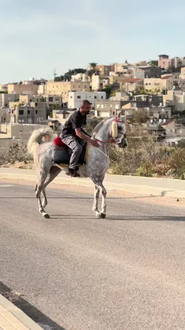 #اللهم_صلي_على_نبينا_محمد❤️ #اسطبلات_ابو_فتحي💙 #الله_يبارك😉❤️🖐🏻 