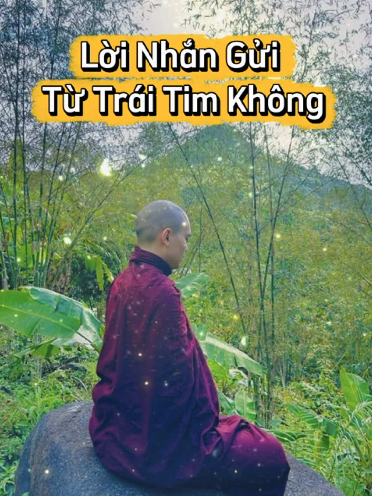 🎋 LỜI NHẮN GỬI TỪ TRÁI TIM KHÔNG 🎋  Sau này ngày Sư ra đi  Nếu có thể Sư cũng chỉ muốn ra đi trong 1 khu rừng nào đó Ở trên ngọn núi cao nhìn ra xa Không có sự ồn ào của bất cứ ai  Không đệ tử , phật tử , gia đình thân quyến gì cả  Âm thầm Sư ra đi Đừng ai nghĩ rằng sẽ mời Chư tăng khai thị, tụng kinh hay lời dặn dò gì , bởi vì đối với Sư những điều ấy đều là dư thừa khi đó   Chỉ có sự chánh niệm và vắng lặng không ồn ào của núi rừng mới làm cho Sư hài lòng và an vui mà thôi  Cả đời này từ lúc 18 tuổi Sư đã cống hiến cho tổ quốc, chúng sanh và Tam Bảo  Sau khi Sư ra đi rồi Hậu sự của Sư nếu ai có biết thì hãy làm đơn giản như lúc Sư ra đi , không cần thỉnh chư tăng , không cần mời Phật tử xa gần hay thân quyến , không cần tổ chức bàn thờ , ảnh thờ hay bất cứ điều gì hoang phí . Nếu được tốt nhất hãy làm việc với chính quyền địa phương tại khu rừng đó tổ chức buổi hoả thiêu trên đống củi như thời Phật còn tại thế . Như vậy sẽ nhanh gọn không rườm rà phiền nhiễu thế gian .  Không để lại bất cứ điều gì dù là xương cốt hay nếu có những xương cốt thế gian gọi là Xá Lợi cũng rải ra biển hết , trộn với cám và kết duyên với thuỷ tộc 1 bữa ăn bởi vì Sư cảm thấy mình có duyên với các vị ấy . Hoặc cũng có thể điều đó thay cho lời sám hối từ Sư vì Sư nhớ lúc nhỏ khoảng 12 tuổi Sư có từng lấy rao chặt đầu 2 con cá rô nhỏ . Đó là lần hiếm hoi Sư từng sát sanh trong kiếp sống này vì vô minh do ảnh hưởng phim truyện .  Y áo đồ đạc tứ vật dụng của Sư đem cúng hết cho chúng Tăng của 1 thiền viện nào đó để chư tăng ở đó tự hành tăng sự và giao cho các Tỳ khưu đang cần .  Đừng đem hoả thiêu theo Sư sẽ gây lãng phí  Chỉ giữ lại cái căn bản là 3 tấm y đắp trên người mà thôi  Còn bình bát bằng sắt thì để chư tăng khác họ sử dụng cho đúng mục đích đừng đem cho cư sĩ họ thờ cúng , điều đó rơi vào hình thức không cần thiết . Bình bát cả đời Sư đi khất thực xin ăn khắp thế giới nên hãy để cho các tỳ kheo hậu học tiếp nối điều đó . Còn hàng cư sĩ nếu muốn tri ân Sư hãy cứ tiếp tục giữ giới hành thiền và hộ trì tam bảo .  Tất cả Đều là tứ đại  Cái gì trả về tứ đại thì trả hết  Cái gì còn dùng được thì cứ dùng là vậy đó  Kiếp này nếu Sư chưa thành thánh nhân thì đời sau kiếp khác sẽ thành Sư vẫn sẽ phụng sự chúng sanh và chánh pháp dù ở kiếp sống nào cho tới ngày giải thoát níp bàn.  Trong kiếp sống này nếu như Sư từng làm cho ai khổ đau dù vô tình hay cố ý bằng lời nói hay hành động Sư cầu mong chúng sanh ấy hãy tha thứ cho sự vô minh của Sư . Nếu có chúng sanh nào từng não hại Sư Sư cũng nguyện buông xả và tha thứ cho những chúng sanh ấy trong sự hoan hỷ và xả ly. Nguyện cho công đức tu tập của Sư đều sẽ phát sanh nơi quý vị .  Vạn pháp là vô thường ...  Đến đi - Sanh Diệt - Trống rỗng ....!  Như thị ....!  - Tỳ Kheo : Minh Quân  -  #suminhquan 