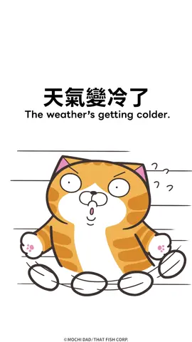 溫馨提醒⚠️ #白爛貓 #lanlancat