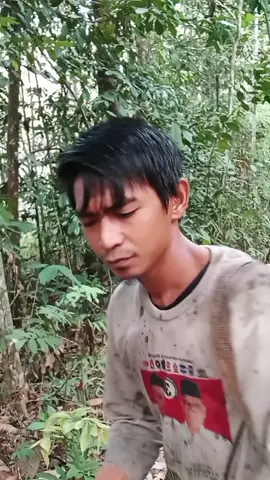 mengapa kau berikan harapan pabila akhirnya kau parah kan #lagudangdutviral #lagudangdut #laguviral #fypdong #virall 