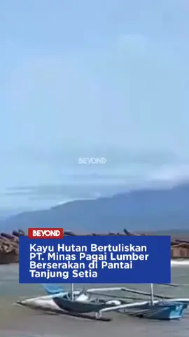 Ribuan kubik gelondongan kayu hutan asal Sumatera Barat terdampar di tempat wisata, Tanjung Setia, Pesisir Barat, Lampung.  Kamis,4 Desember 2025.  Kayu hutan yang sudah terdampar sekitar sebulan lalu itu, bertuliskan PT. Minas Pagai Lumber, Sumatera Barat.  Berdasarkan pantauan dilokasi,  ukuran kayu bervariasi, rata-rata panjang sekitar 6 meter lebih dan diameter sekitar satu meter lebih.  Kayu hutan dengan jenis kayu meranti, dan kayu minyak (kayu kruing) mengganggu aktivitas nelayan.  Bahkan ada kapal jukung nelayan yang ikut rusak akibat tertimpa kayu gelondongan.  Kayu itu terdampar akibat cuaca hujan ekstrem yang mengguyur Lampung dan sekitarnya.  Hingga saat ini, kayu gelondongan masih terdampar dan menjadi pusat perhatian masyarakat serta pengunjung.  Kapal tongkang yang mengangkut kayu masih berada di pinggir laut Tanjung Setia.  Menurut warga sekitar,  Danang mengatakan jenis kayu itu adalah kayu berkualitas yaitu Meranti, kayu Minyak dan lainnya.  
