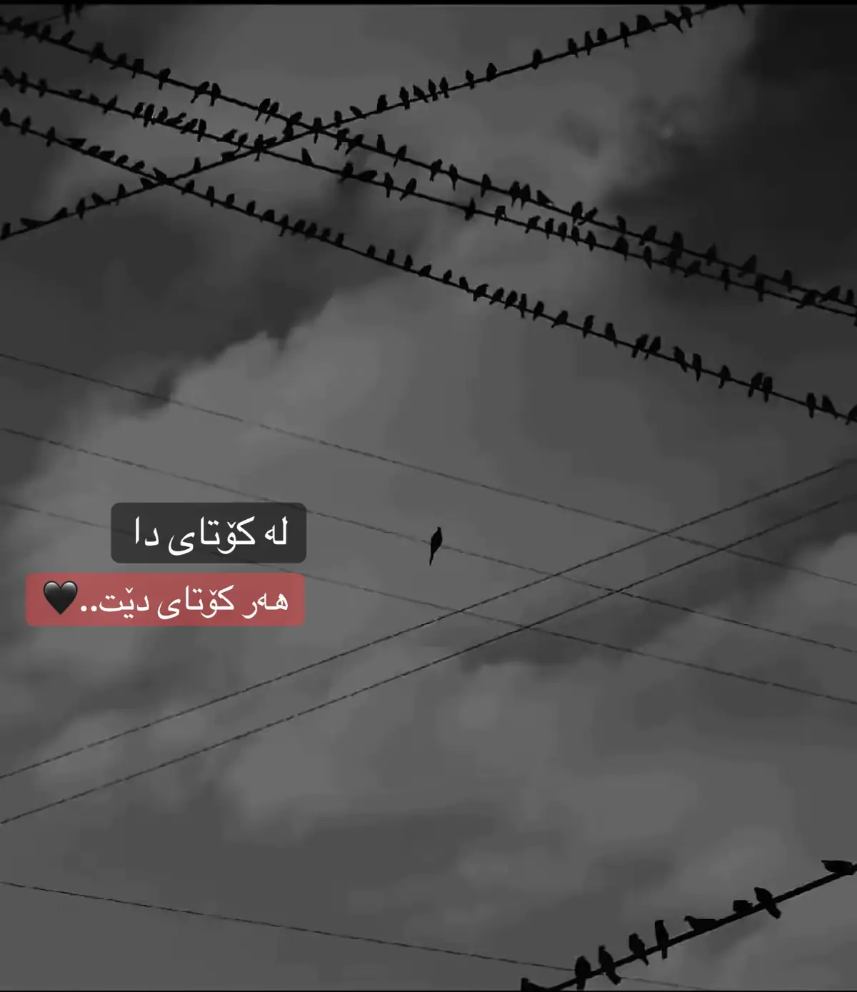 #ranya #ranyakam #slemani #هەر کۆتای دێت🖤