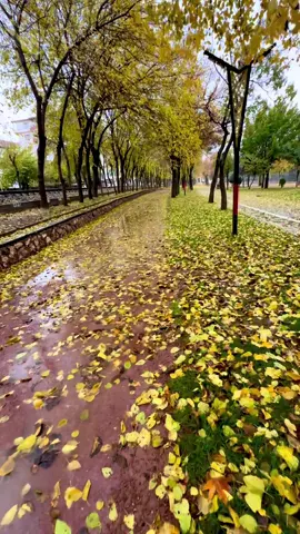 #batmankinemparkı🌿🍂