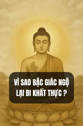 Khất thực - pháp tu của người tỉnh thức.                                                                                                                             NAM MÔ BỔN SƯ THÍCH CA MÂU NI PHẬT 🙏🏻.                                                                                                             #nguoitruyenphap #loiphatday #phatphap #songtinhthuc 